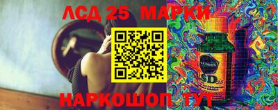 прущие грибы Можга