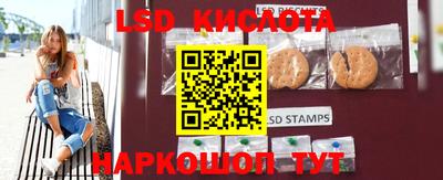 прущие грибы Можга