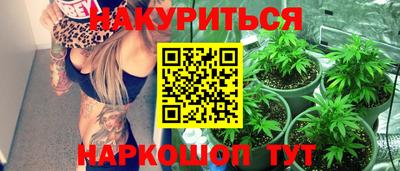 прущие грибы Можга
