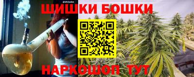 прущие грибы Можга