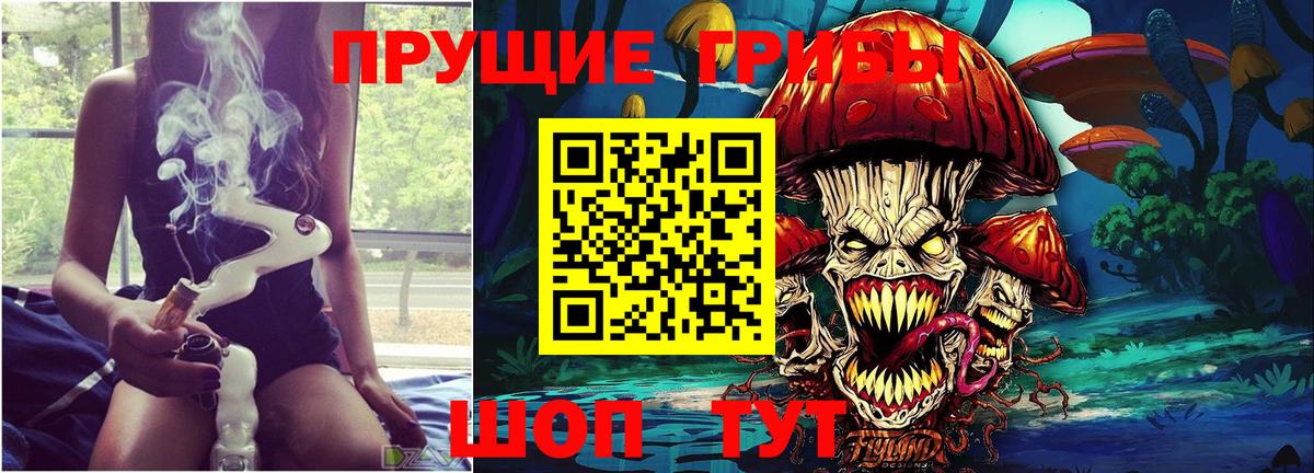 Артём  Псилоцибиновые грибы MAGIC MUSHROOMS  Вход с VPN 