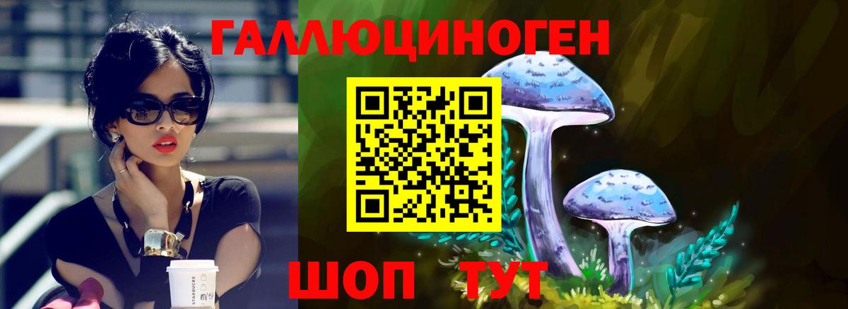 Псилоцибиновые грибы прущие грибы Артём